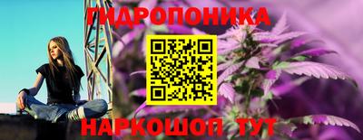 молекула духа Заволжье